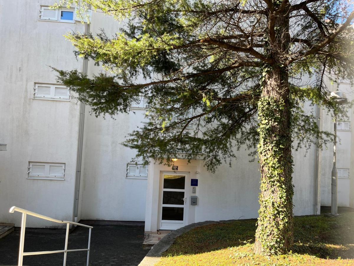 Apartman Maja Selce Dış mekan fotoğraf